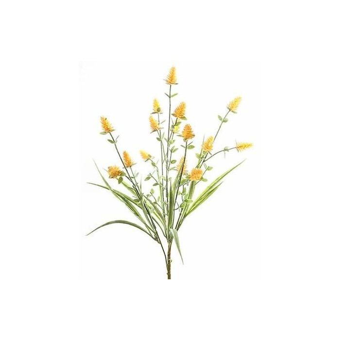 BUSH CLOVER FIORITO YELLOW CM42
